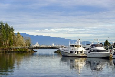 Yatları ve yemyeşil bahçeleri olan Stanley Park marinası