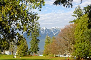 Stanley Park çimlerinde Evergreen çerçeve dağları