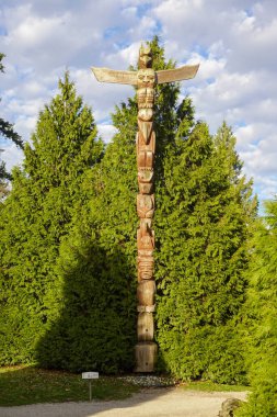 Sedir çalıları arasında Stanley Park totem direği