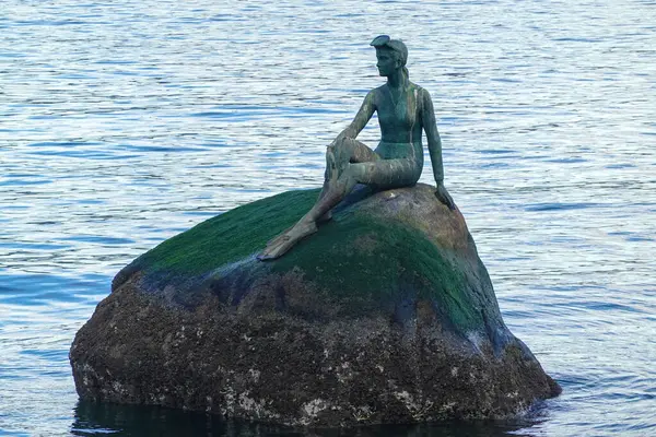 Sahilde dalgıç kıyafetli bronz bir kız.