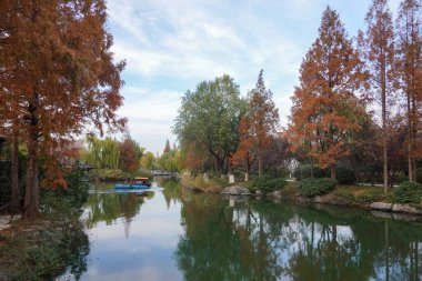 Renkli ağaçlar ve yapraklarla dolu sonbahar manzarası