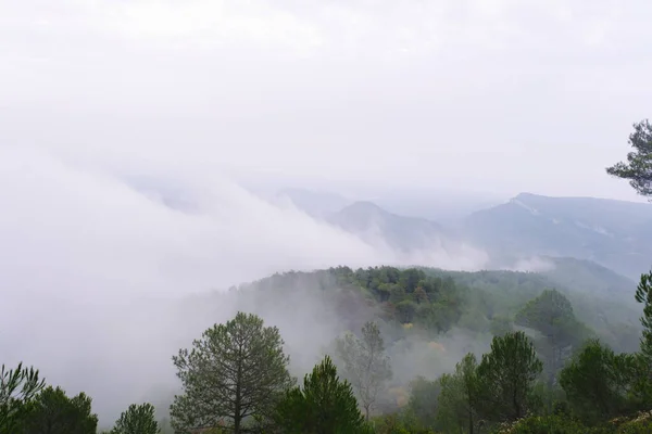 Горный Пейзаж Туманом Покрывающий — стоковое фото