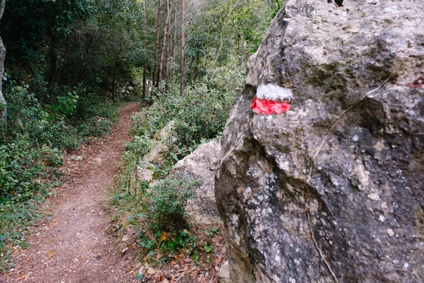 Kamień Znakiem Przewodnim Podążania Ścieżką — Zdjęcie stockowe