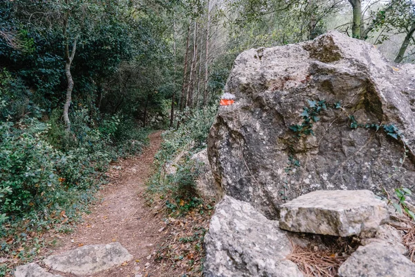 Ścieżka Przez Las Oznakowaniem Szlaku — Zdjęcie stockowe