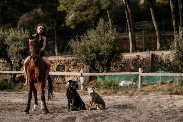 Rider girl with dreadlocks posing with her horse and dogs.