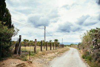 Bitki örtüsü ve yoğun gökyüzü ile taşra yolu