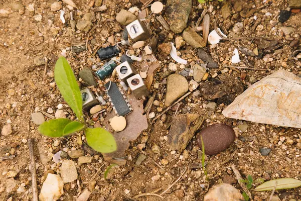 Elektronik devreler ormana atılmış. Ekolojik bir sorun.