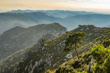 Öğleden sonra bir grup dağ..