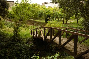 Orman bitkileri arasında ahşap asma köprü.
