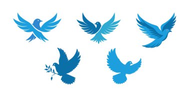 Mavi kuş simgesi seti