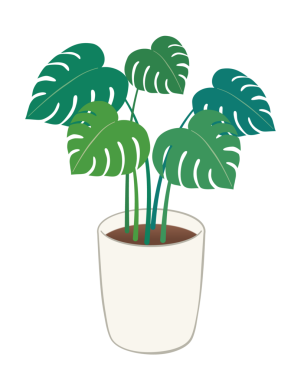 Tenceredeki bitki izole.