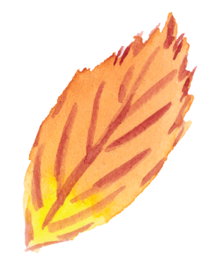 Bu sonbahar yaprağının suluboya çizimi..