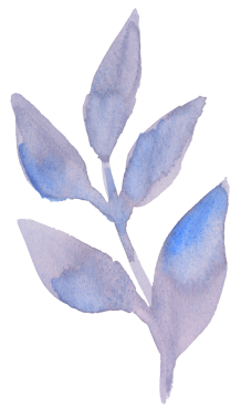 Bu suluboya ile boyanmış mavi-gri yaprakların bir çizimi..