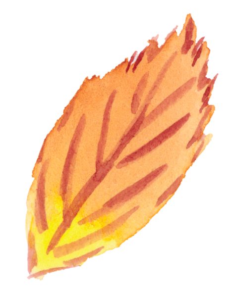 Bu sonbahar yaprağının suluboya çizimi..