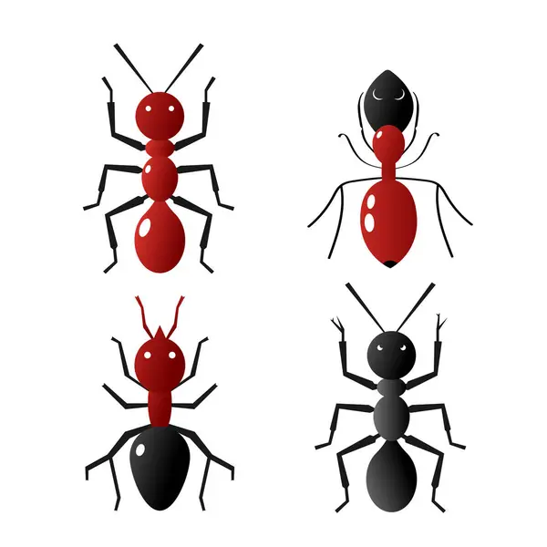 Kırmızı karıncalar düz dizayn böceği arkaplan oluşturmadı