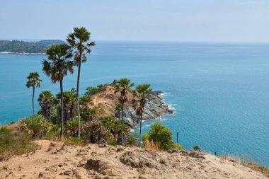 Canlı palmiye ağaçları ve kristal berrak mavi suyun yer aldığı tropikal bir kıyı şeridinin nefes kesici bir görüntüsü. Bu dingin manzara güneşli bir günde Tayland 'ın güneyindeki doğanın güzelliğini yakalar..