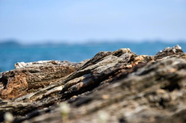 Yıpranmış kayalar suyun kenarına yakın uzanır, karmaşık dokular ve renkler sergilerler. Sakin okyanus, berrak bir gökyüzünün altındaki mesafeye kadar uzanıyor ve sakin bir atmosfer yaratıyor..