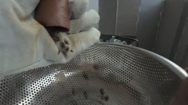 Profesyonel bir kızartma makinesi kızgın kahve çekirdeklerini kızartma makinesinden soğutmak için metal bir kevgire döküyor. Esnaf kahvesi yapma süreci..