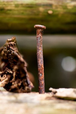 Dikey paslı çivi, çürümeyi, zamanı ve unutulmuş yapıları sembolize ediyor. Tasarım, arkaplan veya sembolik kullanım için mükemmel.