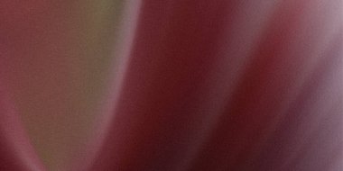 Burgundy ve taupe renklerin ince bir gradyan karışımını içeren desenli bir arkaplan resmi. Doku ince bir taneye ya da yumuşak, bulanık bir etkiye sahip kumaşa benziyor..