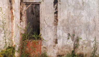 Kırık camları olan ve otlarla kaplanmış eski bir ev. Terk edilmiş ev