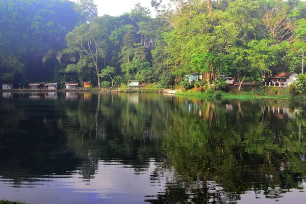 Bataklık ve kanalın yüzeyindeki ağaçların yansıması. Küçük bir gölün sakin yüzeyi. Kıyılar boyunca uzanan uzun ağaçlar bulutlarla birlikte yüzeye yansıyor..