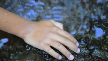 Birçok keçi Endonezya 'nın Merkez Java kentindeki geleneksel bir çiftlikte yemek yiyor. Ahşap bir ağılda keçiler. Kameraya bakan beyaz bir keçiye yaklaş. Geleneksel bir çiftlikte bölünmüş bir yerde beyaz keçiler. Keçi ve koyun çiftliği kavramı