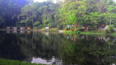 Bataklık ve kanalın yüzeyindeki ağaçların yansıması. Küçük bir gölün sakin yüzeyi. Kıyılar boyunca uzanan uzun ağaçlar bulutlarla birlikte yüzeye yansıyor..