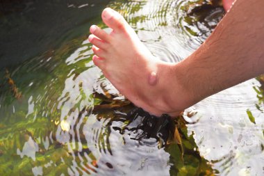 Göletteki balık terapisi, Garra Rufa balığı kullanarak rahatlatıcı balık spa terapisi, deriyi nazikçe kemirmesi ve deriyi soyması, eşsiz ve rahatlatıcı bir deneyim sağlaması,