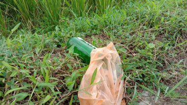 Ormanda yeşil çimenler