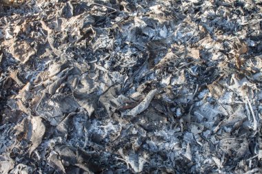 Yanmış ahşap doku. Yanmış ateş dokusu