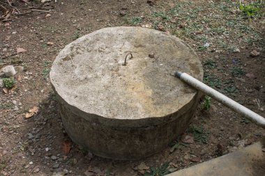 Ormandaki eski tahta fıçı.