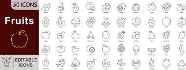 Sağlıklı Gıda ve Doğal Malzemeler İçin Meyve Düzenlenebilir Satır Simgeleri Ayarları