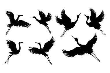 Uçan Turna Silueti Vektörü Hareketli Kuş Koleksiyonundaki Zarif Kuşu Ayarla