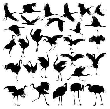 Turnalar Siluet Vektör Koleksiyonu Uçan ve Duran Kuş Pozisyonları Ayarlandı