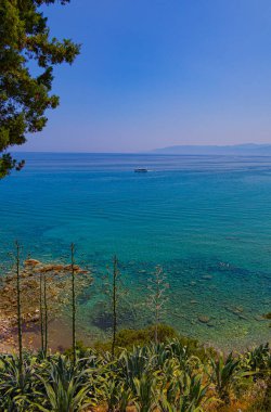 Kıbrıs 'taki Akamas yarımadasında Afrodit' in plajı