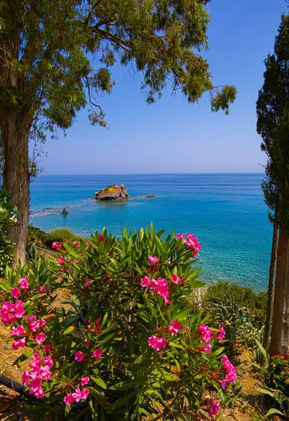 Kıbrıs 'taki Akamas yarımadasında Afrodit' in plajı