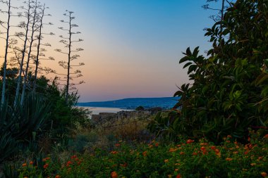 Kıbrıs 'ta Akdeniz yakınlarındaki çiçeklerle dramatik bir gün batımı