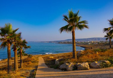 Kıbrıs 'ın Chloraka köyündeki Akdeniz kıyısındaki palmiye ağaçlarıyla gezinti alanında yaz sabahı