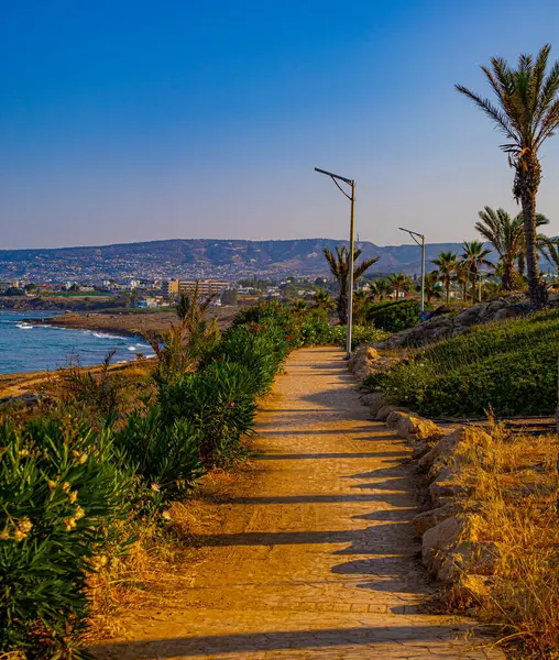Kıbrıs 'ın Chloraka köyündeki Akdeniz kıyısındaki palmiye ağaçlarıyla gezinti alanında yaz sabahı