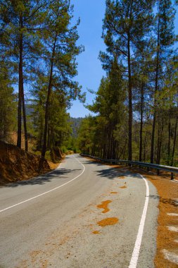 Kıbrıs 'ta dağlık ormanda boş otomobil yolu 