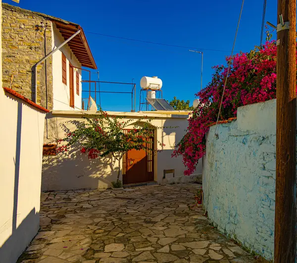 Kıbrıs Rum Kesimi 'nin Lefkara köyünden gelen bu görüntüde, eski evler ve çiçek açan bitkiler arasında rahatlamak için rahat bir yer gösteriliyor