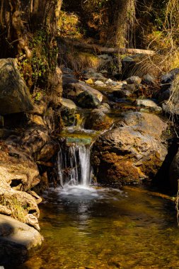 Kıbrıs Rum Kesimi 'nin ormanlık kesimindeki Troodos Dağı nehrinde küçük şelale