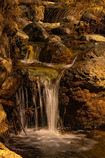 Kıbrıs Rum Kesimi 'nin ormanlık kesimindeki Troodos Dağı nehrinde küçük şelale