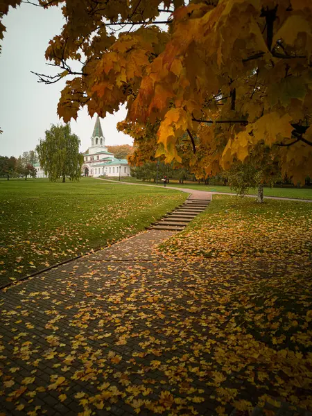 Rusya 'nın başkenti Moskova' daki Kolomenskoye parkındaki eski kiliseye giden altın sonbahar sokağı.