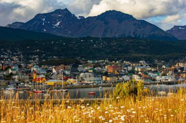 Tarlaya, Ushuaia şehrine ve dağlara bak.