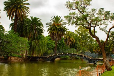 Buenos-Aires, Arjantin 'deki parkta nehir üzerinde köprü.