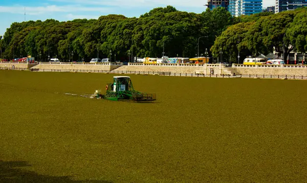Arjantin 'in Buenos-Aires şehrinde Parana Nehri Deltası