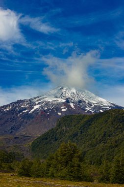 Şili 'deki Villarica volkanı yakınlarındaki manzara