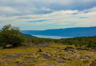 Şili 'deki Villarica volkanı yakınlarındaki manzara